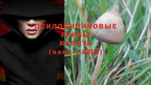 кристаллы Верея