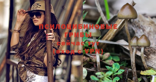 прущая мука Верхний Тагил