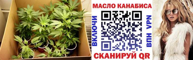 что такое Монино Дистиллят ТГК THC oil